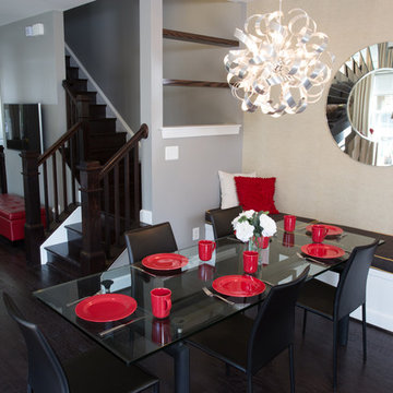 Sleek Contemporary Decor in Ashburn