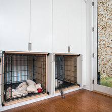Dog Room