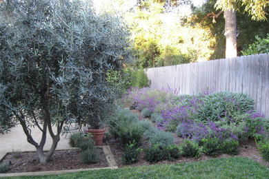 Design ideas for a contemporary backyard partial sun garden in Los Angeles with decomposed granite.