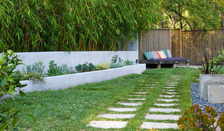8 Common Landscaping Challenges and How Experts Solved Them