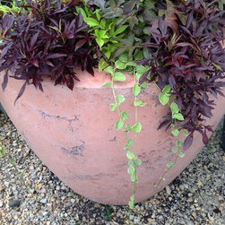 Large Concrete Drum Planters - Outdoor Pots And Planters
