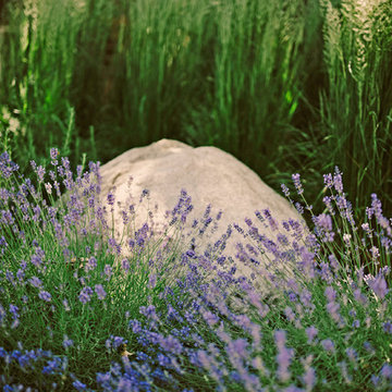 Waterwise Border