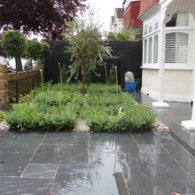 Yard Ideas