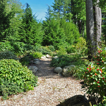 Dry Stream Beds