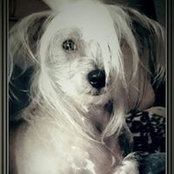 Lisa Miller Hubbard's photo