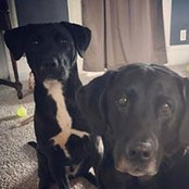 Amy Sleeman's photo