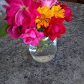 Foto von Jennifer Harris Kelley