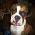 webuser_821172