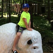 Amanda Hobin's photo