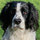 annie_richardson31