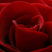 Rose Memiss foto
