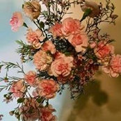 Sandra Ratliff's photo
