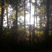Luther Montandon's photo