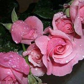 Laura Joiner's photo
