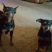 Joan Maggard's photo