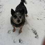 Richard Mosley's photo