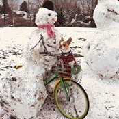 Kara Mattaini's photo