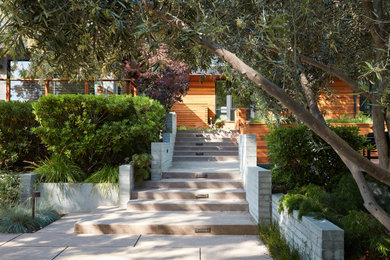 Large 1950s home design photo in San Francisco