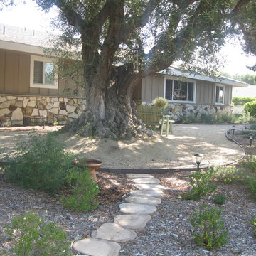 Earth Friendly Santa Ana Garden