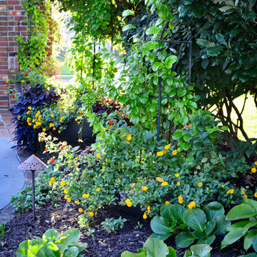 Corner lot Courtyard