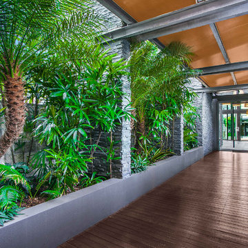 Griffin Place, Glebe