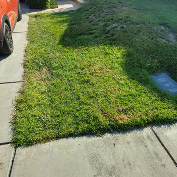 Making My Driveway Wider in Chino Hills