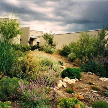 Albuquerque residence 6