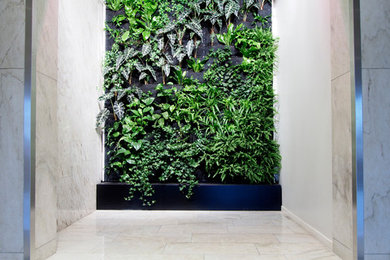 Indoor Plant Walls