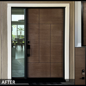 Modern Doors