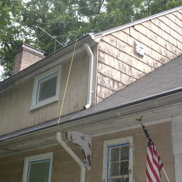 Exterior Painting and Carpentry