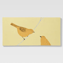 wall