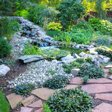 Landscaping ideas