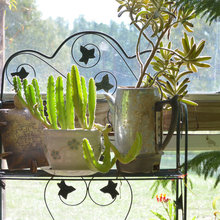 Containers and Pots
