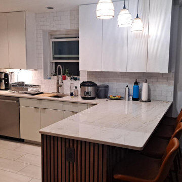 Contemporary Kitchen Remodel