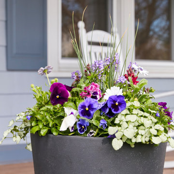 Early Spring Containers