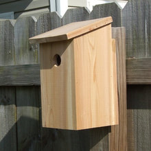 DIY Projects