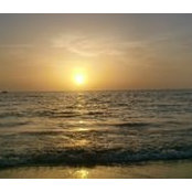 Yunus Keles's photo