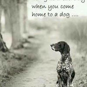 Terry Dunsford's photo