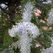 Melissa Alderman's photo