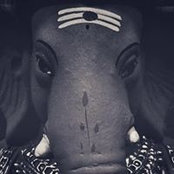 Chaya Chaya's photo