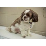 Nicole Laber's photo