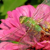 CatherineAnn Nelson's photo