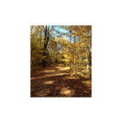 Margaret Stretton's photo