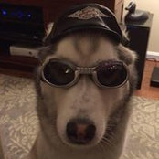 Robert McCutcheon's photo