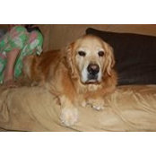 Kelley Funk's photo