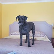 Wayne Baker's photo