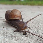 Foto von Christine Moen