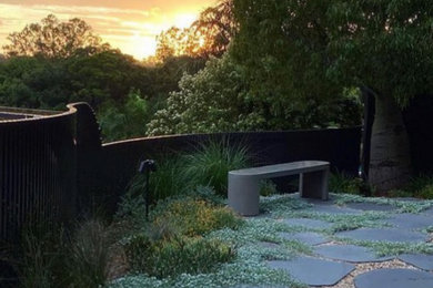 Inspiration for a small contemporary courtyard garden in Brisbane.