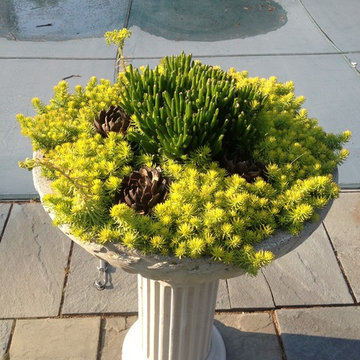 container gardens