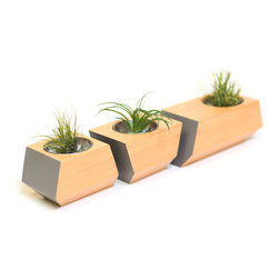 Boxcar Planter - Douglas Fir and Slate - Products